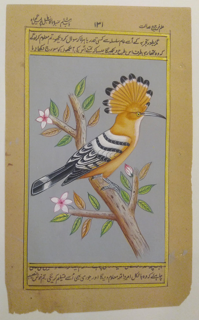 Hand Painted Hoopoe Bird Birds Miniature Painting India - ArtUdaipur