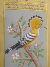 Load image into Gallery viewer, Hand Painted Hoopoe Bird Birds Miniature Painting India - ArtUdaipur
