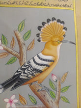 Load image into Gallery viewer, Hand Painted Hoopoe Bird Birds Miniature Painting India - ArtUdaipur
