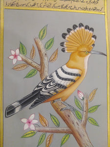 Hand Painted Hoopoe Bird Birds Miniature Painting India - ArtUdaipur