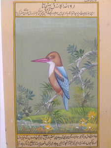 KingFisher Painting on Old Paper - ArtUdaipur