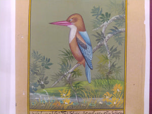 KingFisher Painting on Old Paper - ArtUdaipur