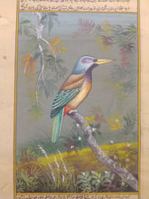 Load image into Gallery viewer, Buy KingFisher Online
