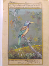 Load image into Gallery viewer, Buy KingFisher Online

