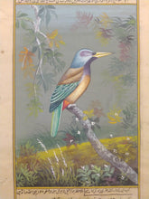 Load image into Gallery viewer, Bird Painting Art Collection
