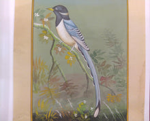 Load image into Gallery viewer, Bird Collection on Paper

