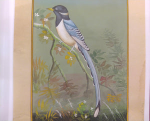 Bird Collection on Paper