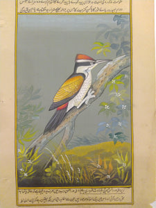 Bird Art Collection Interior Home Decor