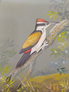 Hand Painted Sparrow Fine Bird Miniature Painting India Art on Paper - ArtUdaipur