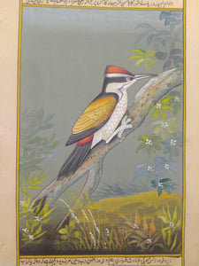 Hand Painted Sparrow Fine Bird Miniature Painting India Art on Paper - ArtUdaipur