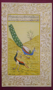 Beautiful Gold Peacock Indian Miniature Painting - ArtUdaipur