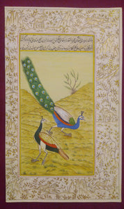 Beautiful Gold Peacock Indian Miniature Painting - ArtUdaipur