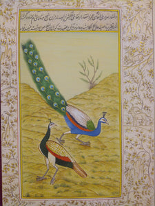 Beautiful Gold Peacock Indian Miniature Painting - ArtUdaipur