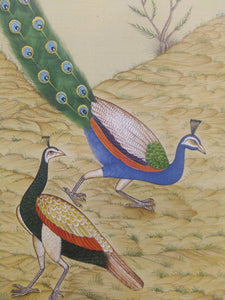 Beautiful Gold Peacock Indian Miniature Painting - ArtUdaipur