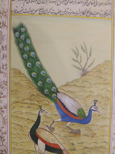 Beautiful Gold Peacock Indian Miniature Painting - ArtUdaipur