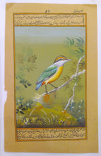 Load image into Gallery viewer, Bird Collection on Paper

