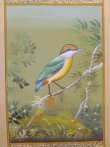 Exuisite Art Collection