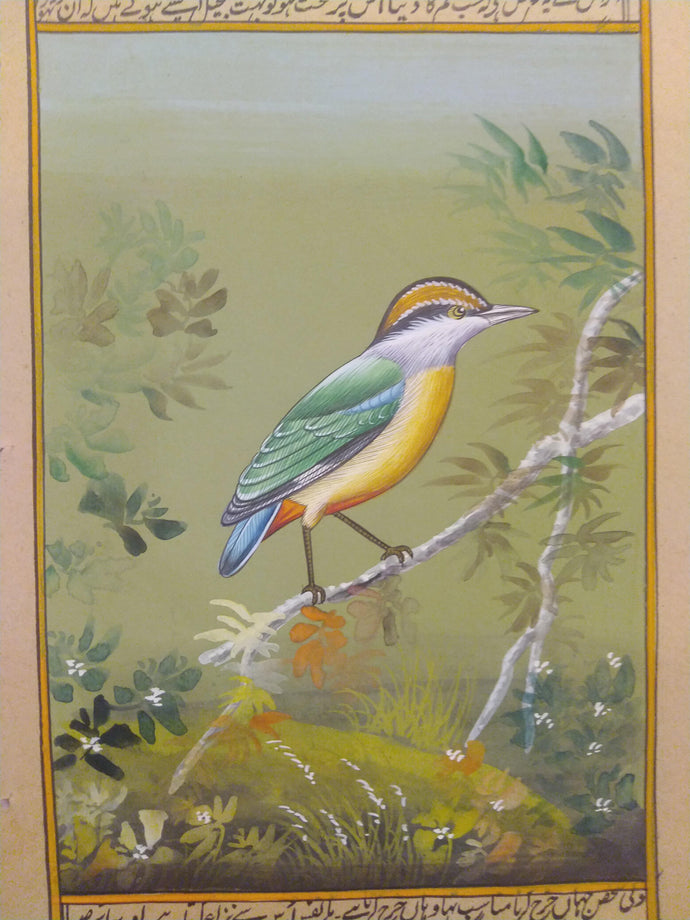 Exuisite Art Collection