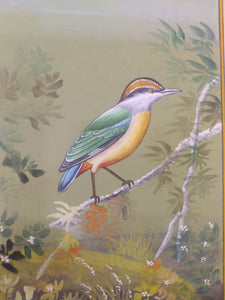 Bird Collection for Art Lovers