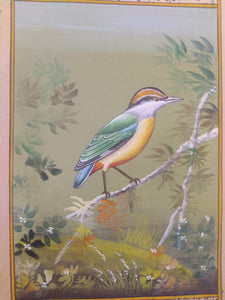 Nature and Art Lovers