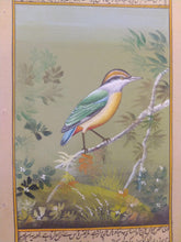 Load image into Gallery viewer, Birds of Paradise Art Collection
