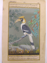 Load image into Gallery viewer, Great Hornbill Indian SubContinent on Paper Art Collection Painting - ArtUdaipur
