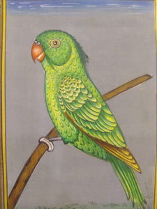 Parrot Birds and Flower on Paper Painting - ArtUdaipur