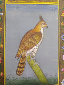 Courage Eagle Bird on Paper Indian Miniature Painting - ArtUdaipur
