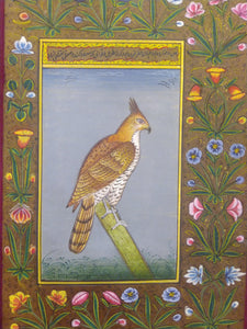 Courage Eagle Bird on Paper Indian Miniature Painting - ArtUdaipur