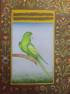 Bird Lover