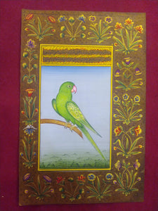 Baby Parrot Painting