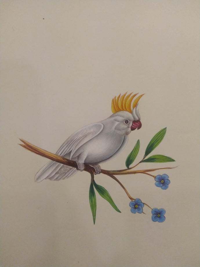Baby Bird Artwork Home Decor