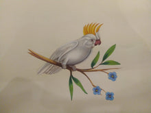 Load image into Gallery viewer, Beautiful White Baby Bird Painting on Paper - ArtUdaipur
