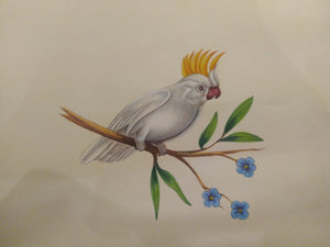 Beautiful White Baby Bird Painting on Paper - ArtUdaipur