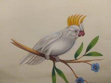 Load image into Gallery viewer, Beautiful White Baby Bird Painting on Paper - ArtUdaipur
