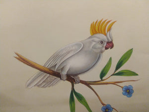 Beautiful White Baby Bird Painting on Paper - ArtUdaipur