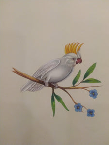 Beautiful White Baby Bird Painting on Paper - ArtUdaipur