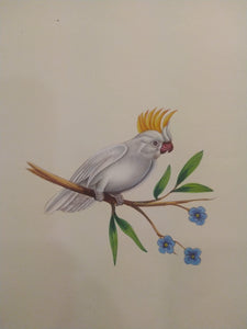 Beautiful White Baby Bird Painting on Paper - ArtUdaipur