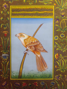Beautiful Bird on Special Paper Miniature Painting - ArtUdaipur