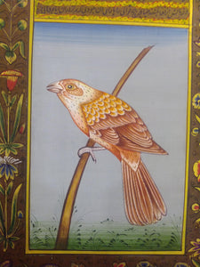 Beautiful Bird on Special Paper Miniature Painting - ArtUdaipur