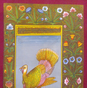 Hand Painted Exotic Bird Miniature Painting India Artwork Fine Art - ArtUdaipur