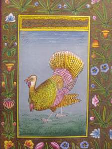 Hand Painted Exotic Bird Miniature Painting India Artwork Fine Art - ArtUdaipur
