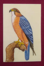 Load image into Gallery viewer, Eagle Bird Birds Miniature Painting India Art Synthetic Ivory - ArtUdaipur

