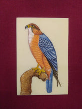 Load image into Gallery viewer, Eagle Bird Birds Miniature Painting India Art Synthetic Ivory - ArtUdaipur
