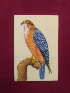 Eagle Bird Birds Miniature Painting India Art Synthetic Ivory - ArtUdaipur