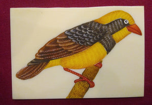 Baby Sparrow Bird Birds Miniature Painting India Art Synthetic Ivory - ArtUdaipur