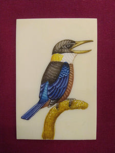 HandPainted Angry KingFisher Bird Indian Miniature Painting - ArtUdaipur