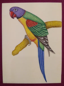 Beautiful Parrot Paradise ColorFul Painting Art - ArtUdaipur