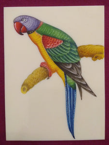 Beautiful Exotic Parrot Bird Painting Indian Miniature Painting - ArtUdaipur