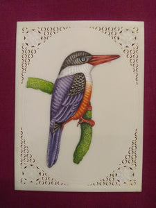 ColorFul Common KingFisher
